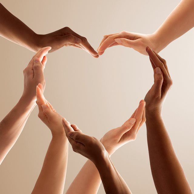 Donor partnership
